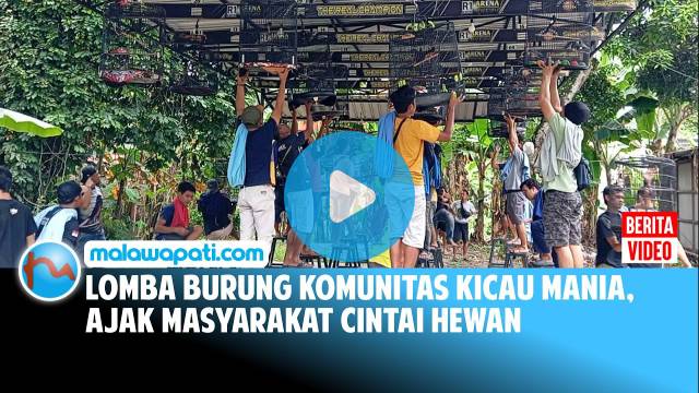 Lomba Burung Komunitas Kicau Mania, Ajak Masyarakat Cintai Hewan