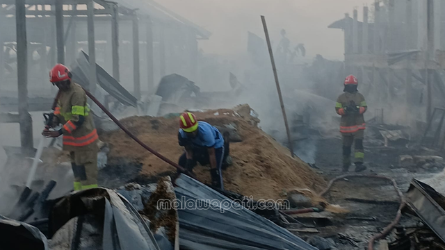 Kandang Ayam Senilai Rp 6 Miliar di Malo Ludes Terbakar