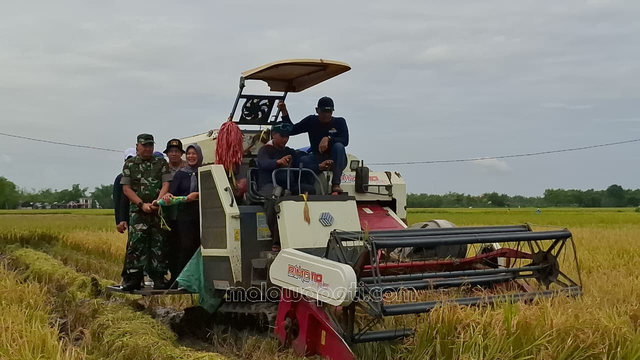 DKKP Bojonegoro Sukses Panen Varietas Padi Unggul ‘Gamagora 7’ 11,4 Ton Per 1 ha di Kepohbaru