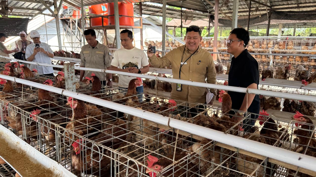 Kunjungan dilanjutkan ke BUMDes Kaliombo, Purwosari, untuk melihat budidaya ayam petelur. Foto : Alham M. Ubey