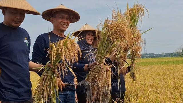 Bojonegoro Miliki 43 Ribu Ha Lahan Sawah Dilindungi (LSD), Pemkab Siap Tingkatkan
