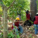 Survei Biodiversity Gencar Dilakukan Mahasiswa dan Perhutani KPH Padangan Untuk Jaga Hutan