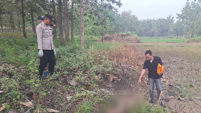 Geger, Sesosok Mayat Perempuan Ditemukan di Pinggir Hutan Ngasem