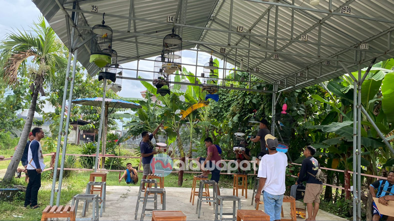 Ratusan Penghobi Burung Kicau Ramaikan Lomba di jl Markas Green Garden Bojonegoro