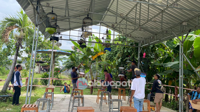 Ratusan Penghobi Burung Kicau Ramaikan Lomba di jl Markas Green Garden Bojonegoro